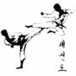 Tae Kwon Do Herblinois